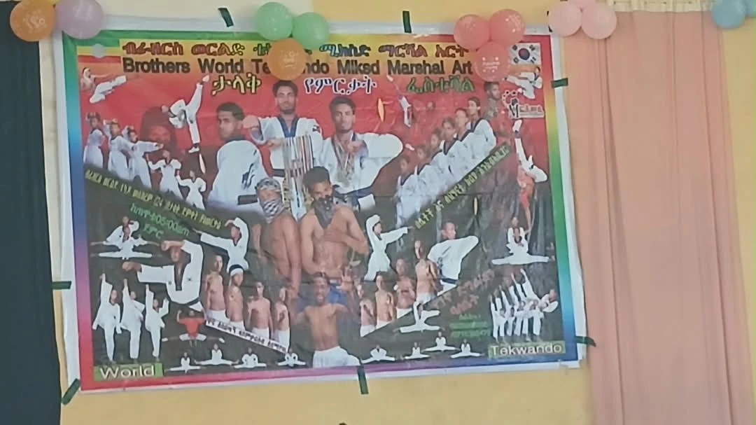 Brothers World Taekwondo martial arts school banner with training photographs